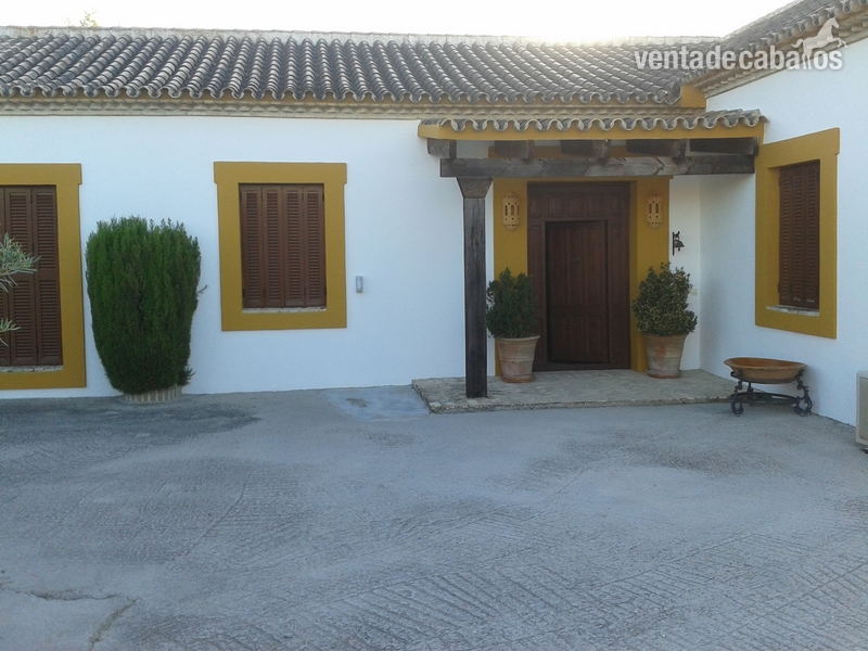 Finca Hípica en A-360 a 35 min.de Sevilla