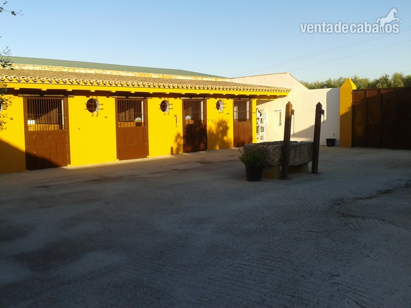 Morón de la Frontera Finca Hípica en A-360 a 35 min.de Sevilla
