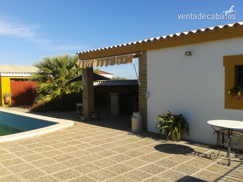 Finca Hípica en A-360 a 35 min.de Sevilla - Finca ecuestre