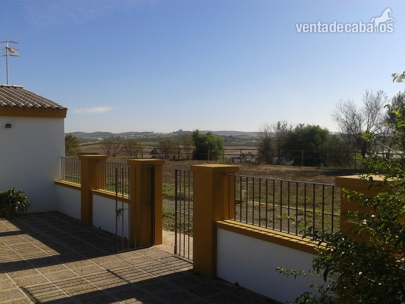 Finca Hípica en A-360 a 35 min.de Sevilla Morón de la Frontera