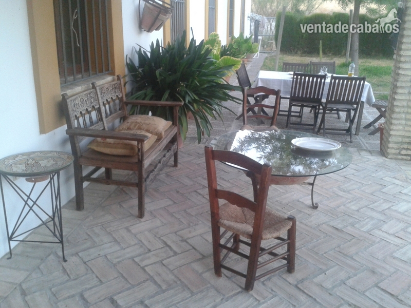 Finca ecuestre - Finca Hípica en A-360 a 35 min.de Sevilla in Morón de la Frontera