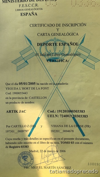 Caballo de Deporte Español (CDE) {TYPE}