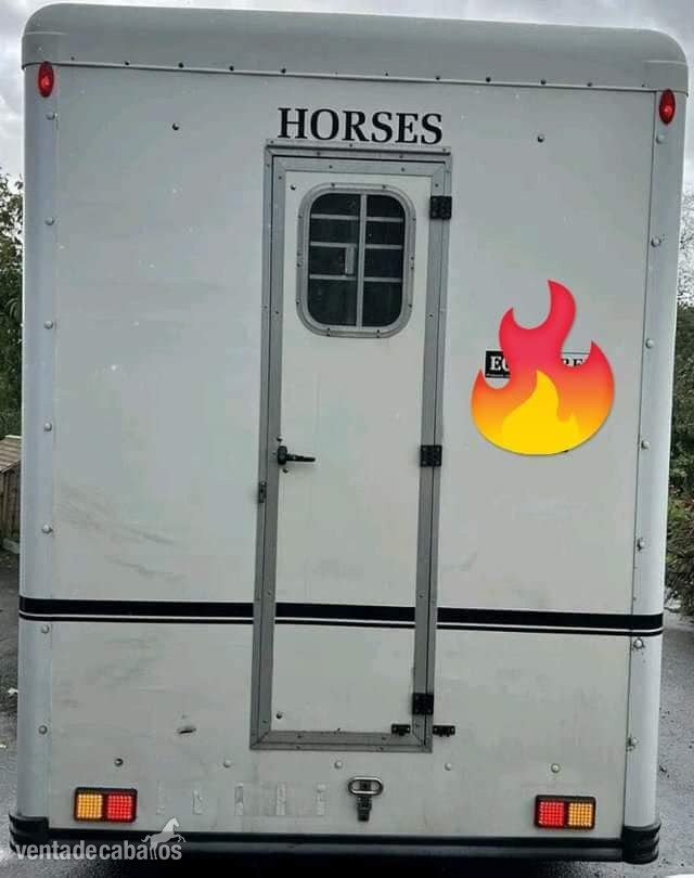 Hípicas y establos en venta - Venta de cabalgatas y establos in Alicante