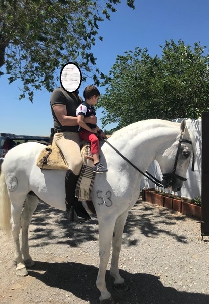 Lusitano
