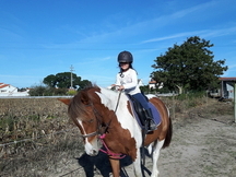 Pony D desporto 4 anos