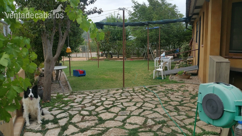 HIPICA FAMILIAR EN VENTA