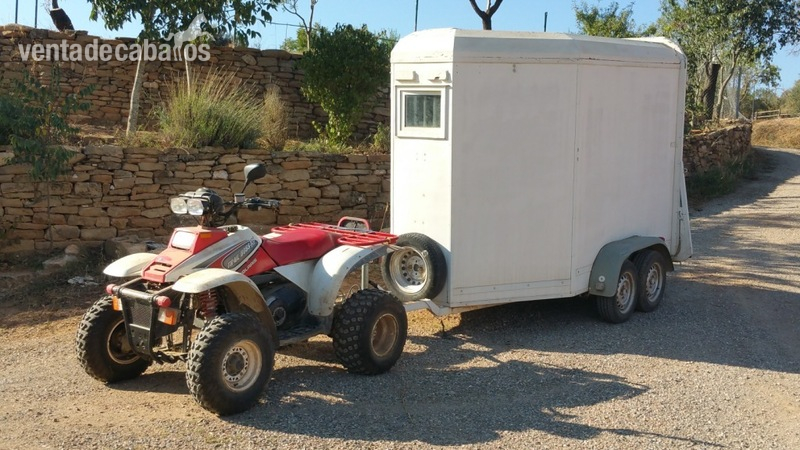 ARTESA DE SEGRE HIPICA FAMILIAR EN VENTA