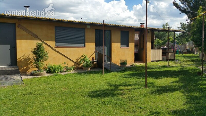 HIPICA FAMILIAR EN VENTA ARTESA DE SEGRE