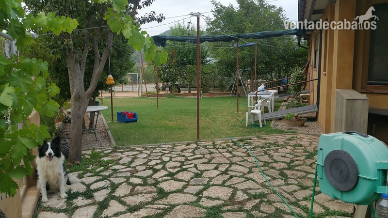 HIPICA FAMILIAR EN VENTA
