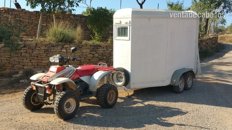 ARTESA DE SEGRE HIPICA FAMILIAR EN VENTA