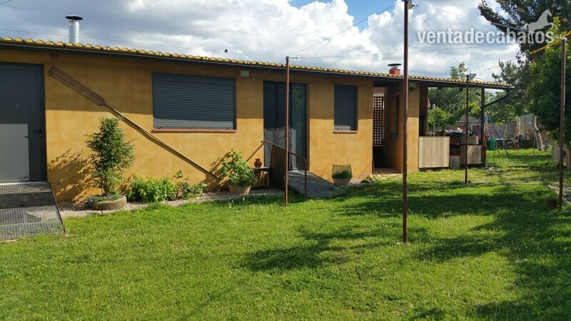 HIPICA FAMILIAR EN VENTA ARTESA DE SEGRE