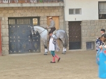 Vendo caballo PRE de la Ganaderia de Valdeolivas .