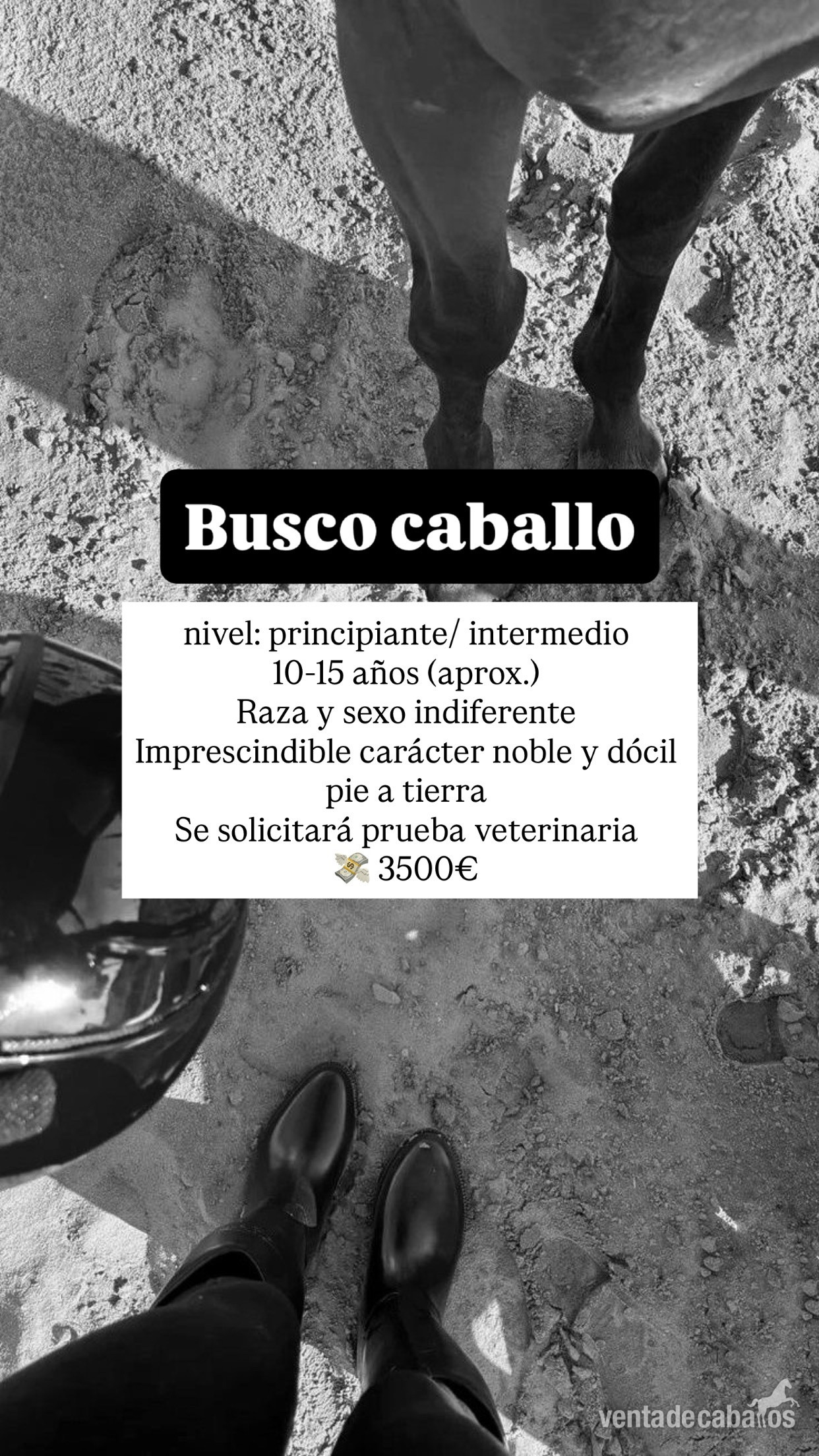 Busco caballo en Catalunya in 