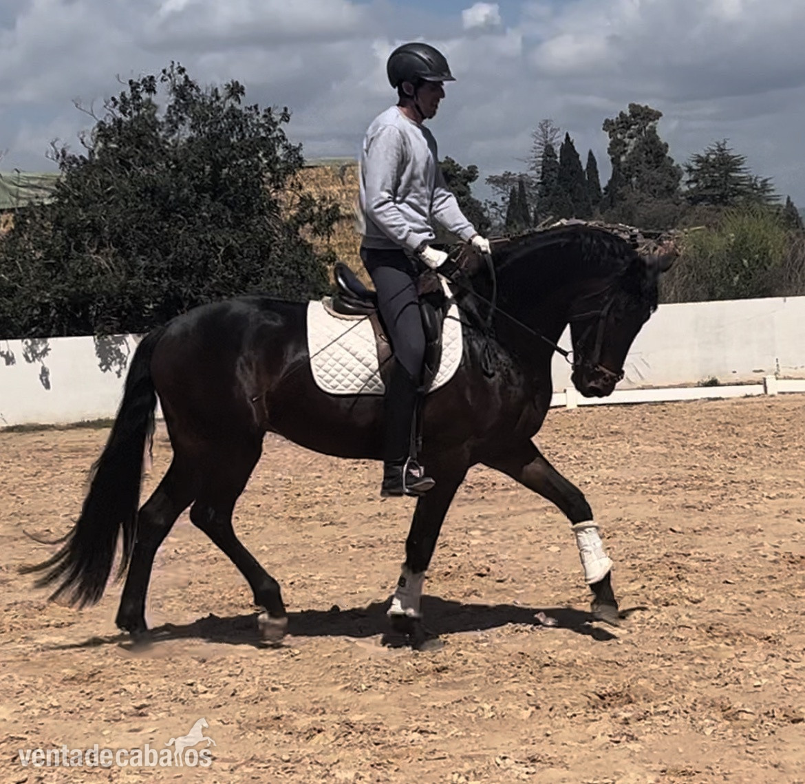 Caballos nivel 4 y san Jorge- ínter I  