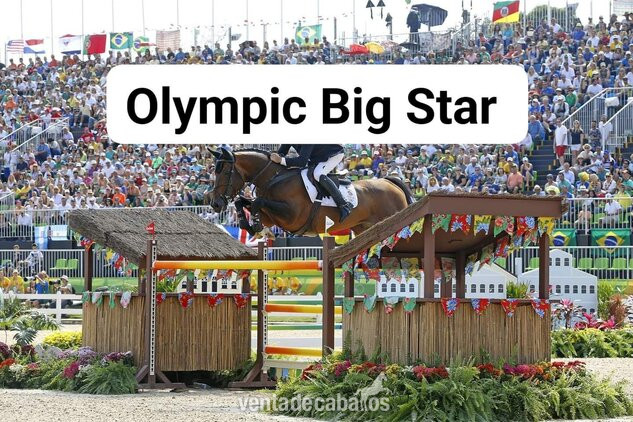 Yeguas EMPTY - Hija del legendario FOR PLEASURE preñada BIG STAR 