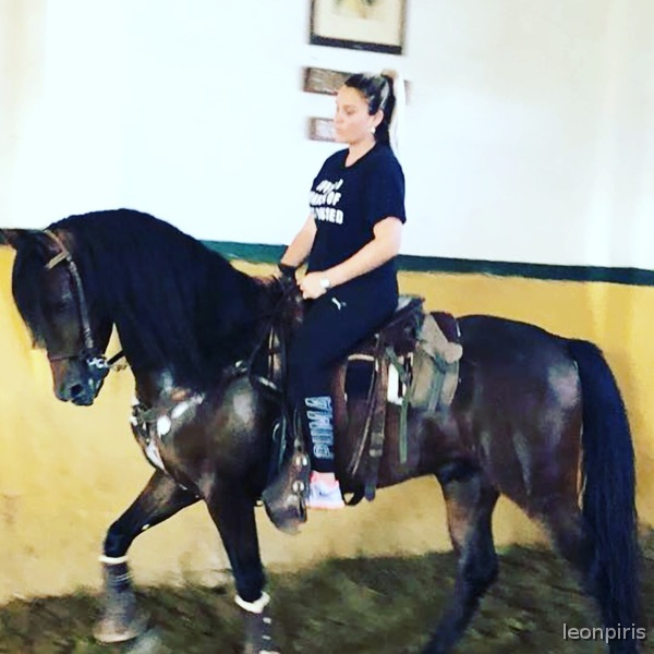 caballo capado cruzado y con mucha clase in 