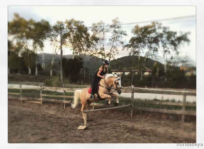 Cruzado {TYPE}