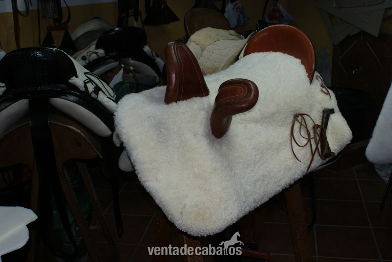 silla amzona de vidal in 