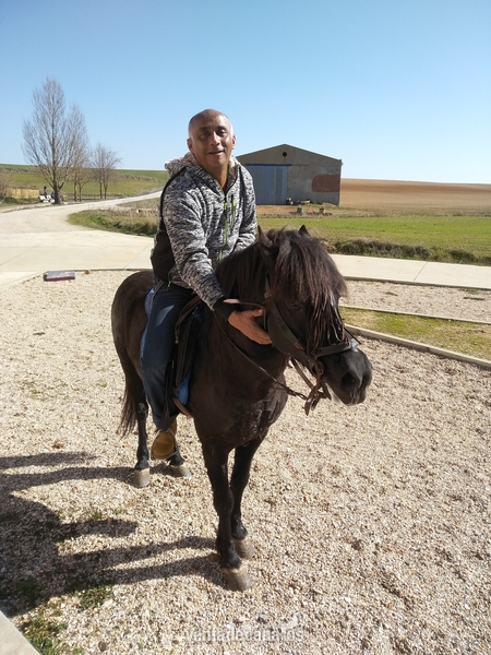 Le vendo barato - Caballos Enteros