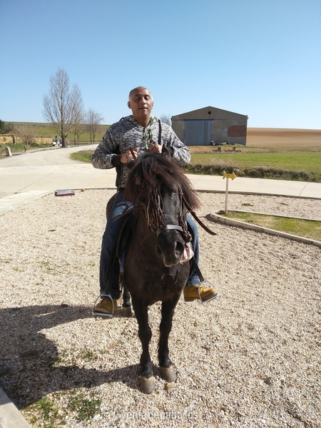 Le vendo barato - Caballos Enteros