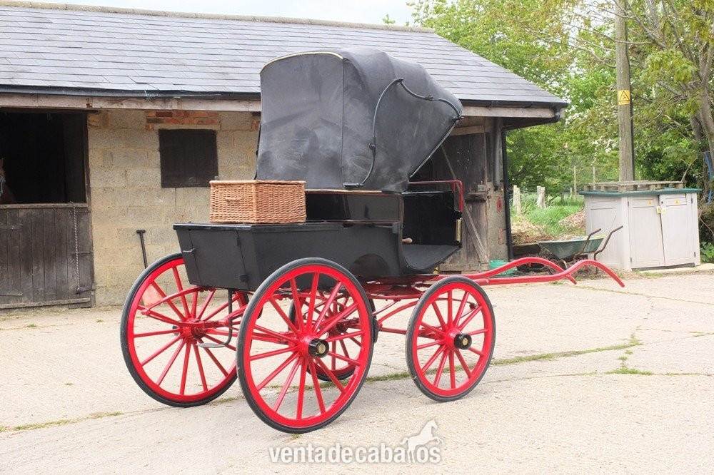 French Hooded Snuffbox Wagonette