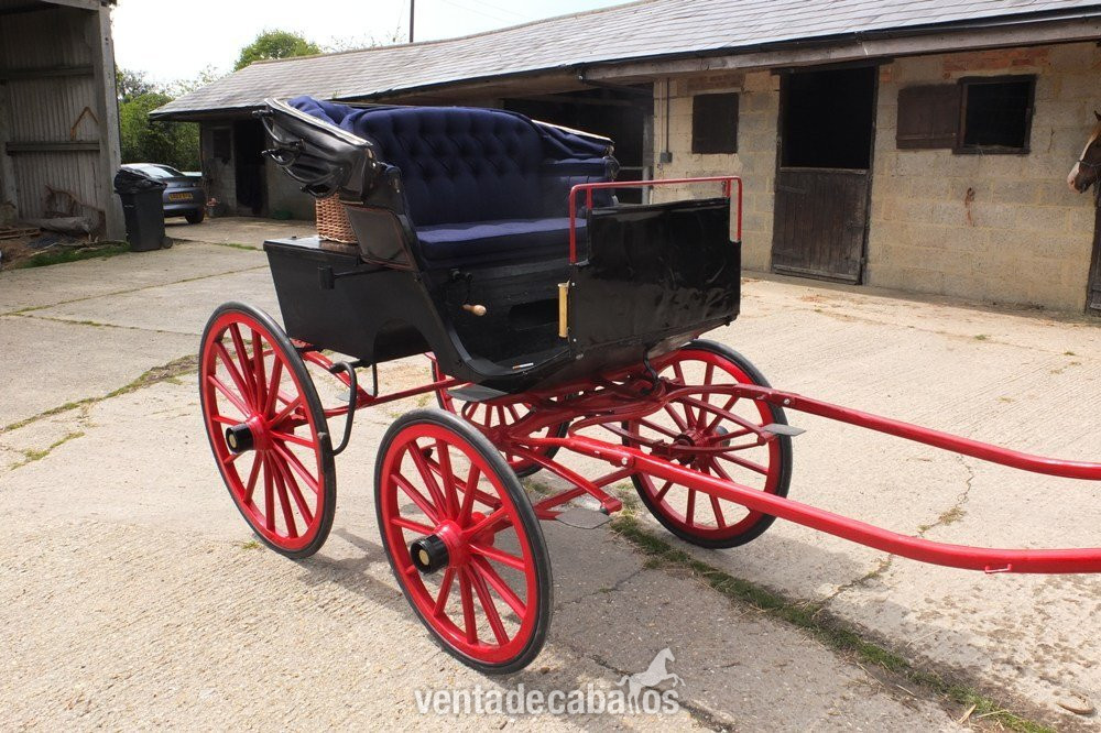  French Hooded Snuffbox Wagonette