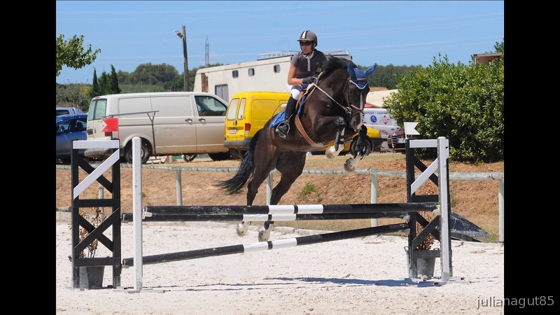 Caballo top de salto y doma en venta!! in 