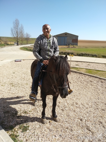 Le vendo barato - Caballos Enteros in 