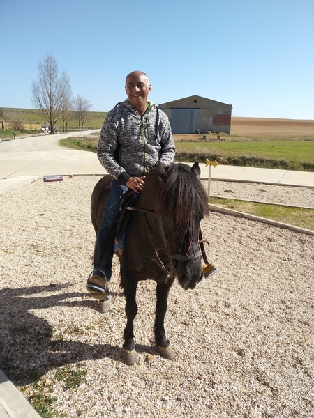 Le vendo barato - Caballos Enteros in 