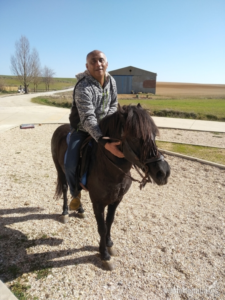Le vendo barato - Caballos Enteros