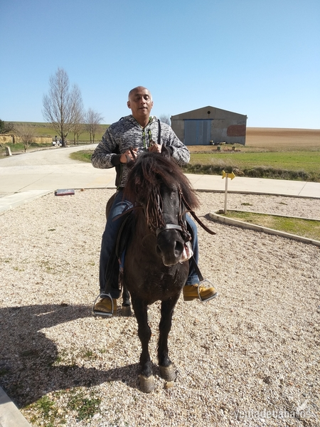 Le vendo barato - Caballos Enteros