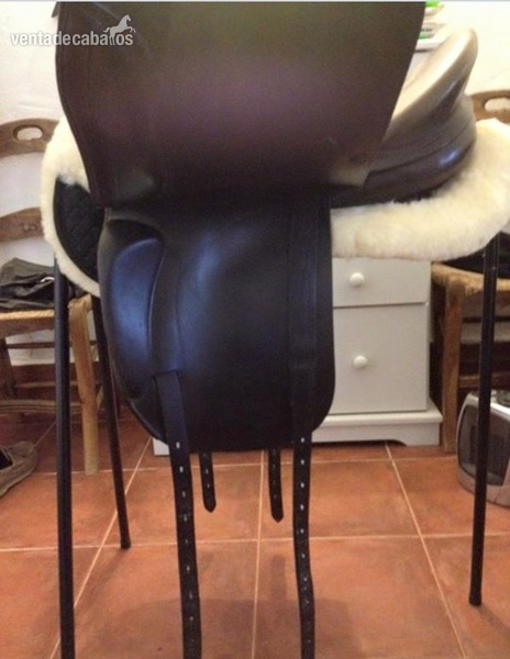 Prestige top dressage doma in 