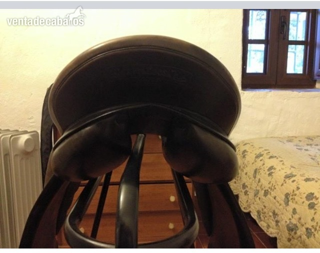 Prestige top dressage doma
