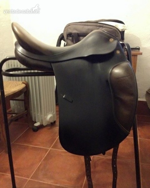  Prestige top dressage doma
