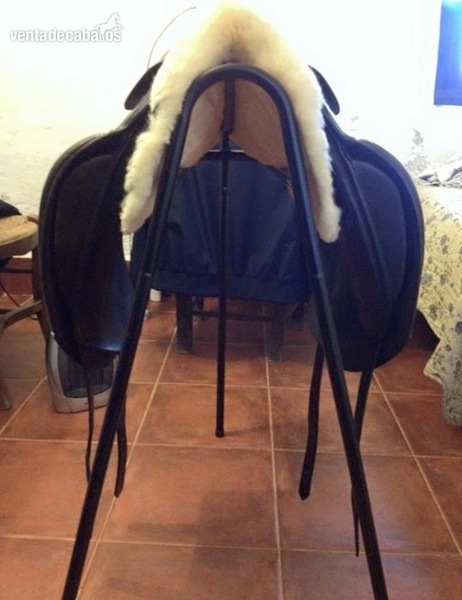 Prestige top dressage doma 