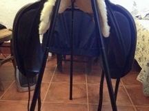 Prestige top dressage doma