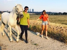 Caballo PRE Espectacular 