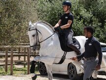 Caballo Pura Raza Española ideal para Doma Clásica y Semental