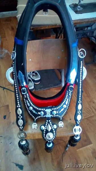 Equipación y Ropa de Jinete - Todo para caballo 