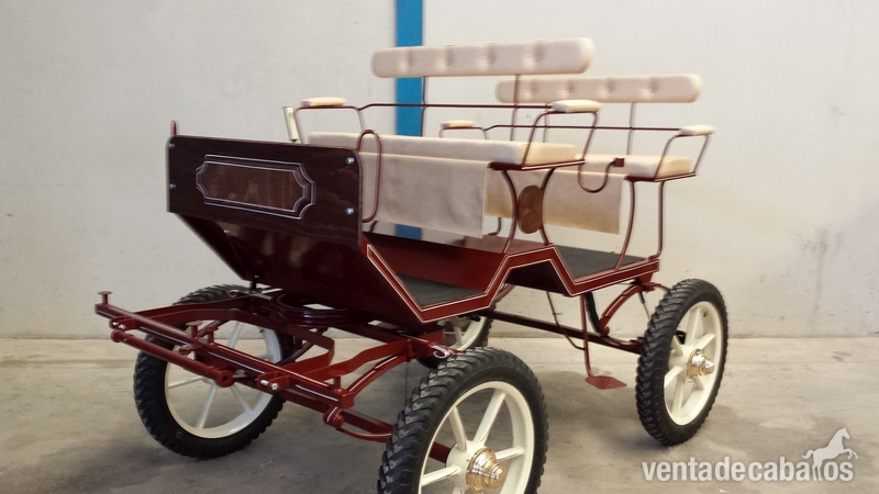 BUGGY PARA CABALLOS in 