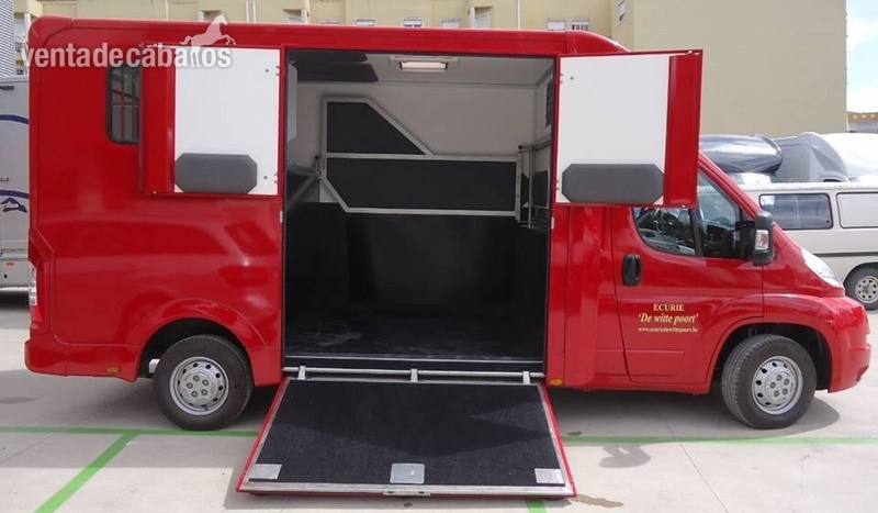 Venta furgonetas para caballos - Transportes de caballos in 