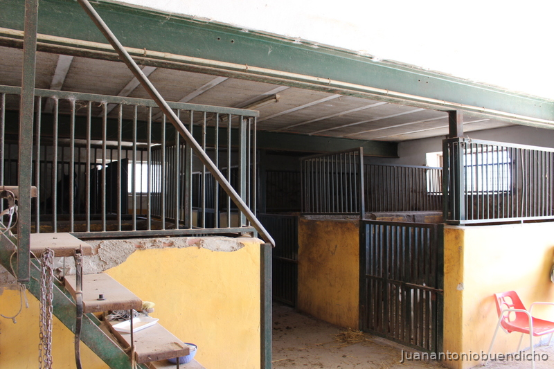Finca con casa y 20 boxes más pistas in Monovar