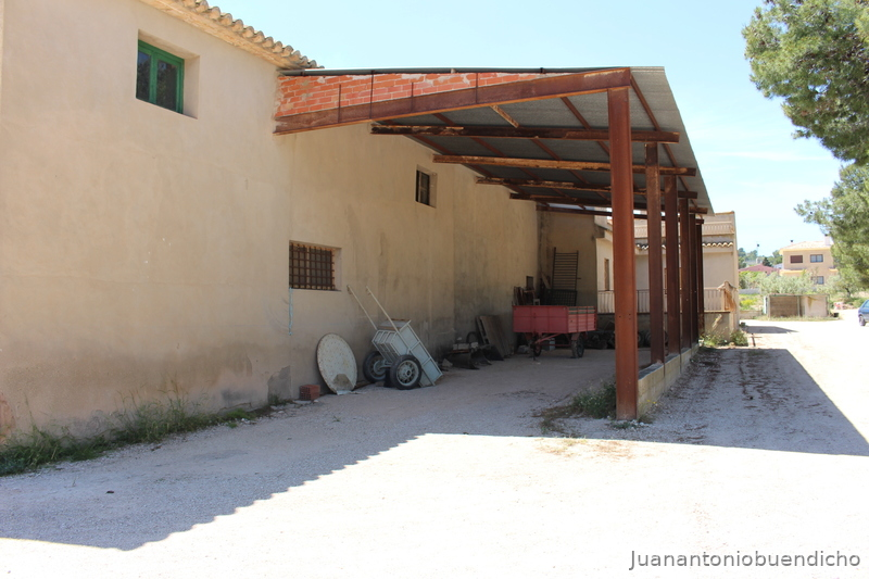 Finca con casa y 20 boxes más pistas