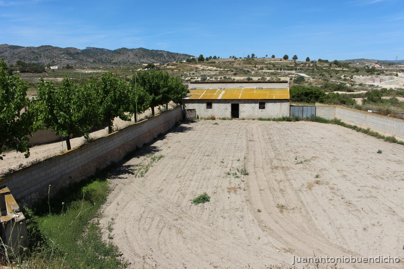 Monovar Finca con casa y 20 boxes más pistas