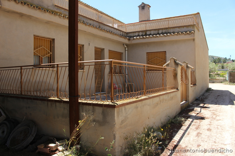 Finca con casa y 20 boxes más pistas - Finca ecuestre in Monovar
