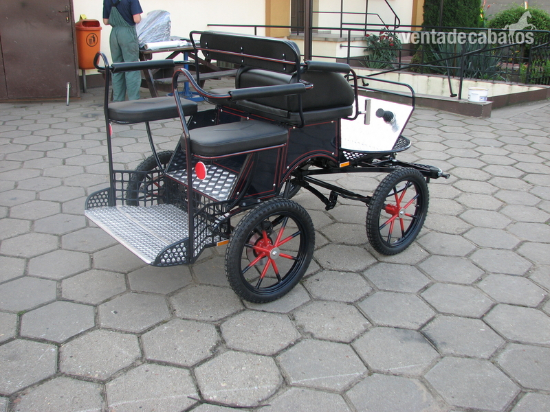 MARATON PARA PONY in 