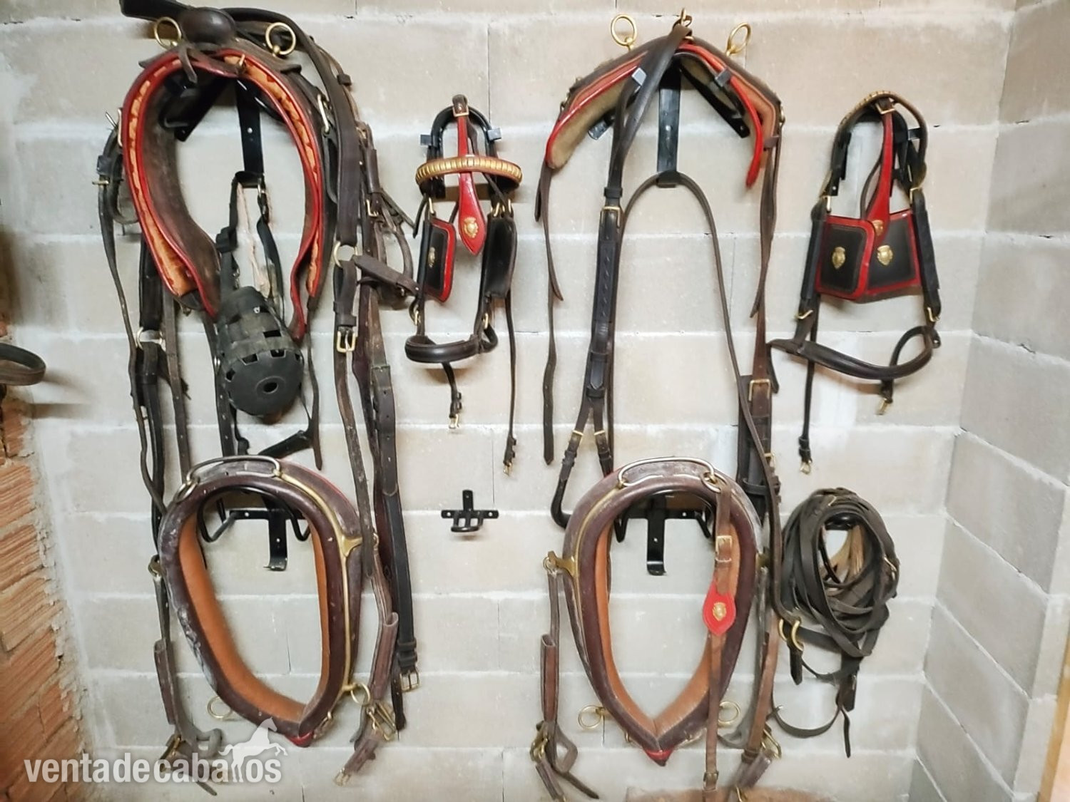 English Collar Harness by Huskissons of Walsall