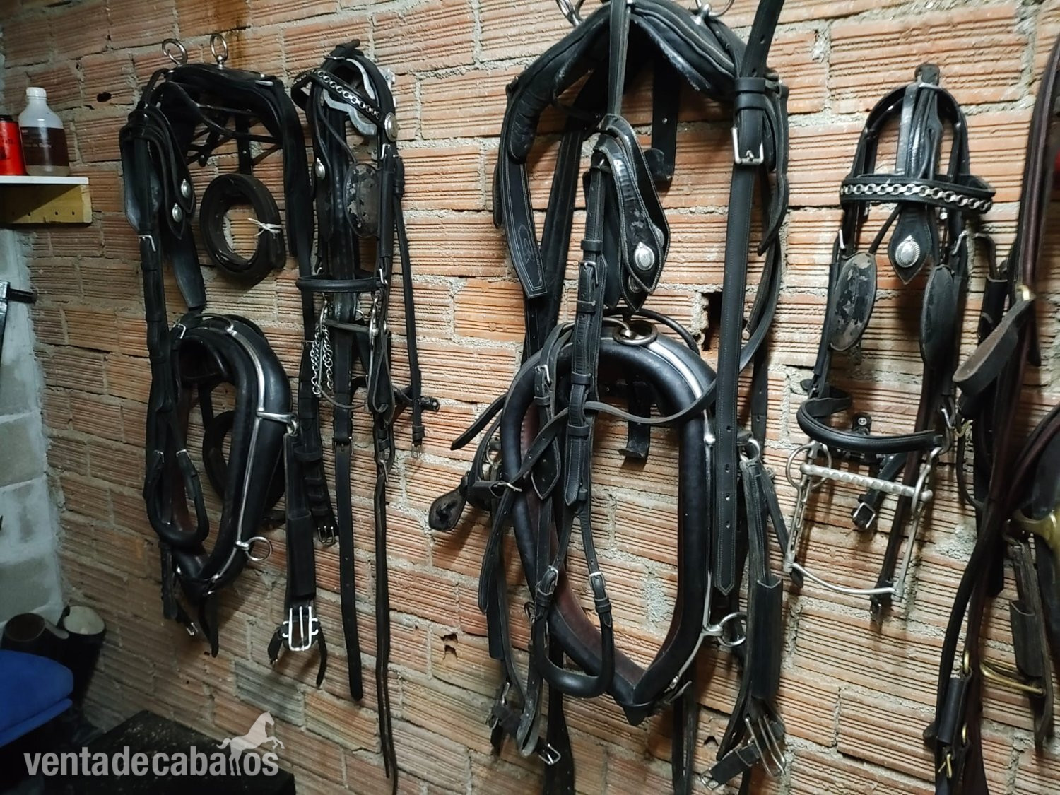  English Collar Harness by Huskissons of Walsall