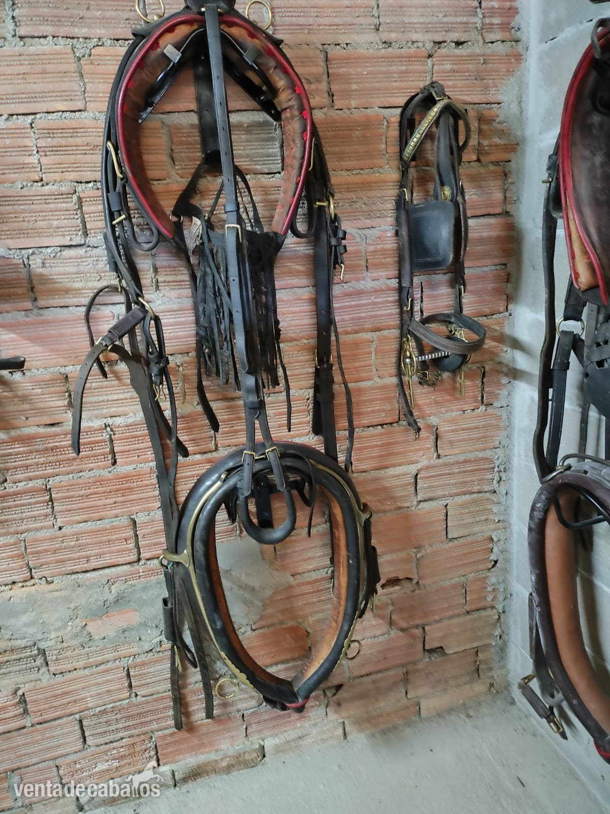 English Collar Harness by Huskissons of Walsall - Carruajes y Enganches in 