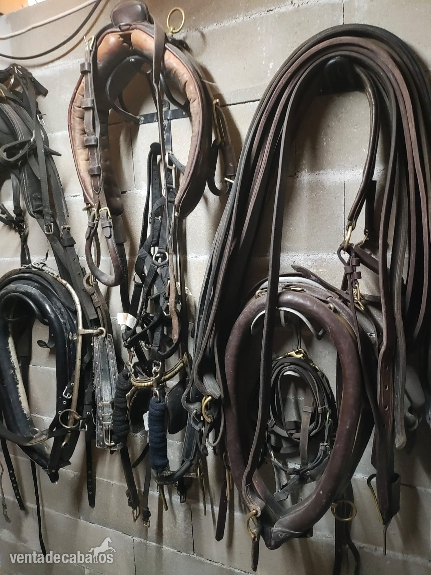 English Collar Harness by Huskissons of Walsall - Carruajes y Enganches